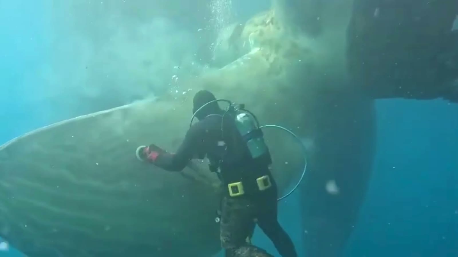 Diver cleaning and polishing a vessel's thruster underwater