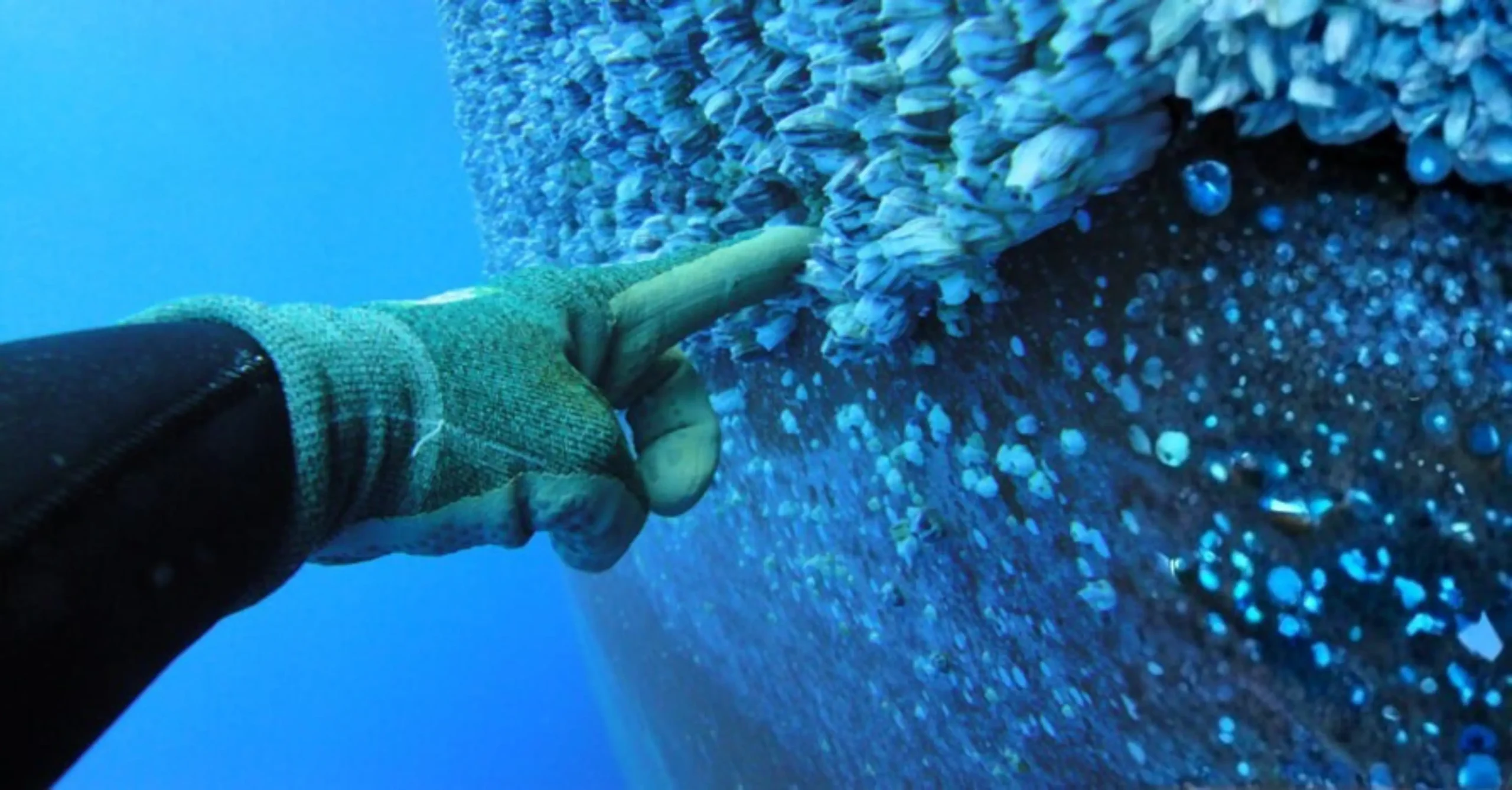 Before Underwater Hull Cleaning