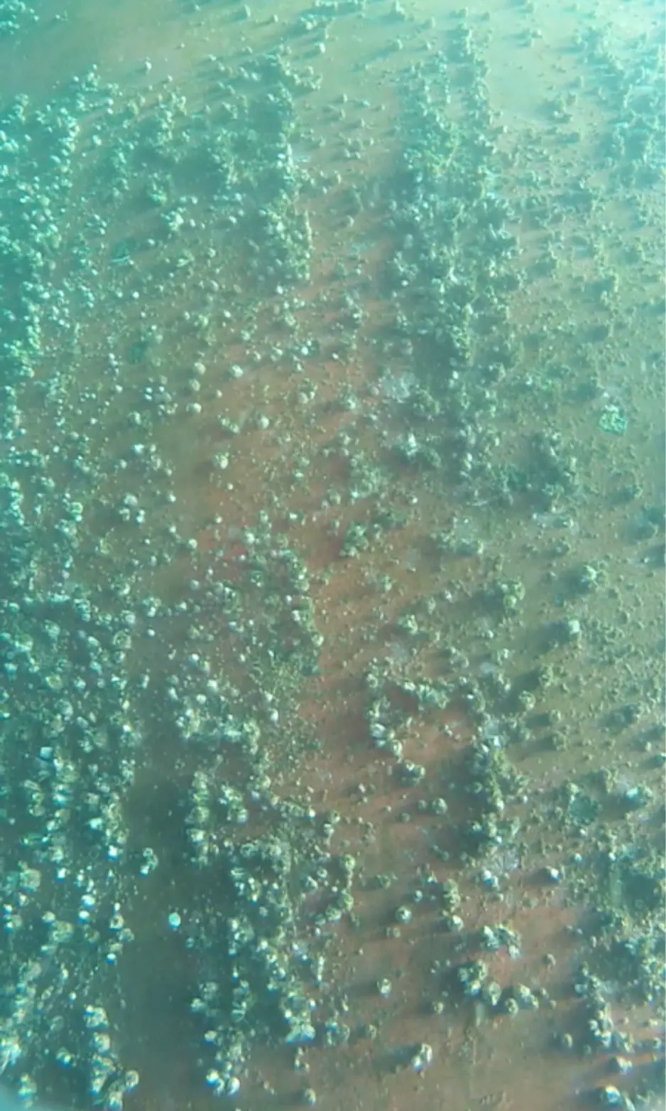 Underwater Hull Cleaning Service