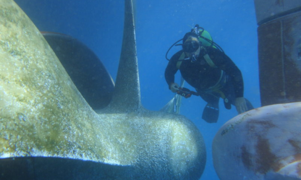Ship Hull Biofouling Removal in Pipavav