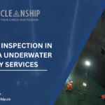 UWILD Inspection in Hazira Underwater Survey Services