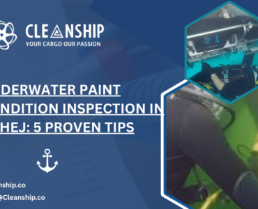 Underwater Paint Condition Inspection in Dahej