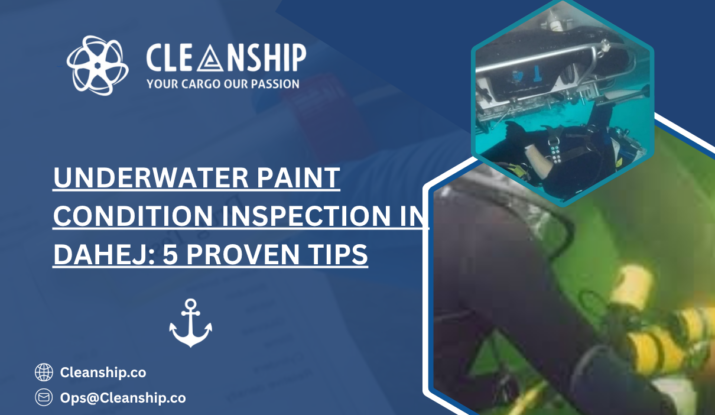 Underwater Paint Condition Inspection in Dahej