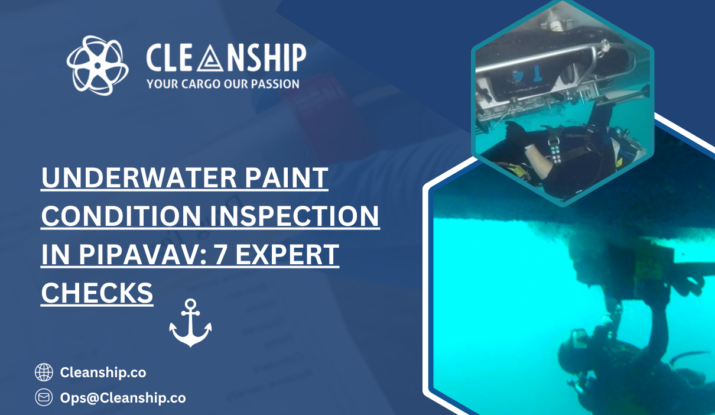 Underwater Paint Condition Inspection in Pipavav