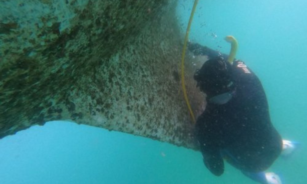 Hull Fouling Inspection in New Mangalore