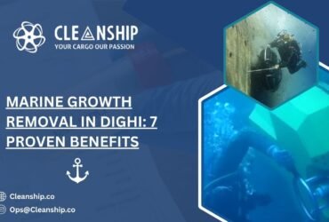 Marine Growth Removal in Dighi