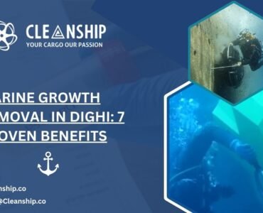 Marine Growth Removal in Dighi