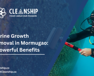 Marine Growth Removal in Mormugao 7 Powerful Benefits Marine Growth Removal in Mormugao