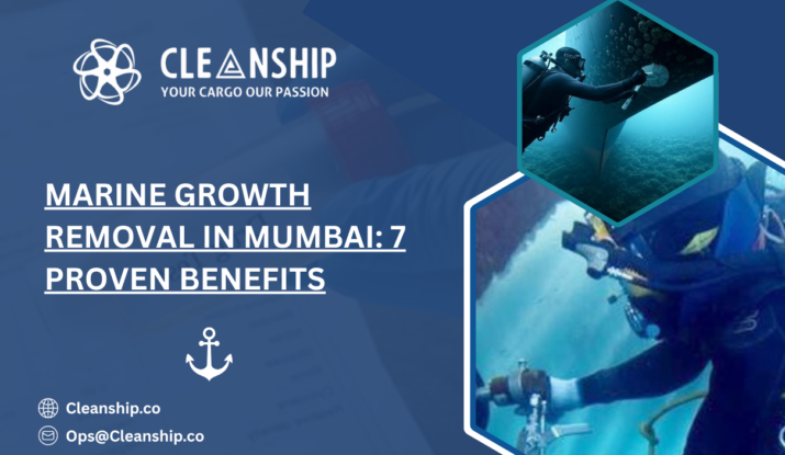 Marine Growth Removal in Mumbai