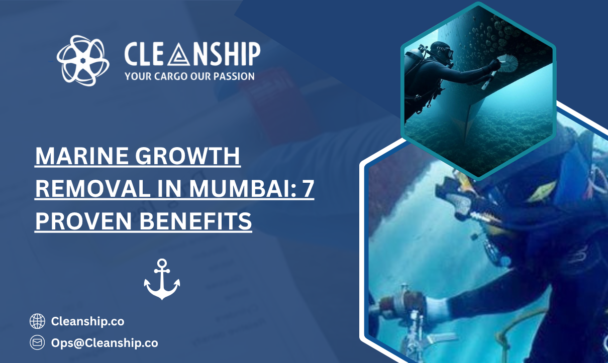 Marine Growth Removal in Mumbai