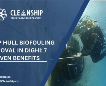 Ship Hull Biofouling Removal in Dighi