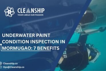 Underwater Paint Condition Inspection in Mormugao
