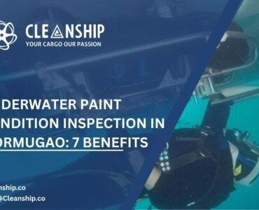 Underwater Paint Condition Inspection in Mormugao