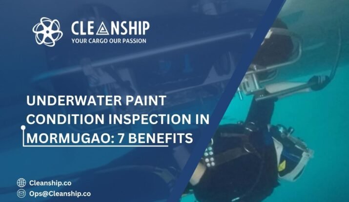 Underwater Paint Condition Inspection in Mormugao