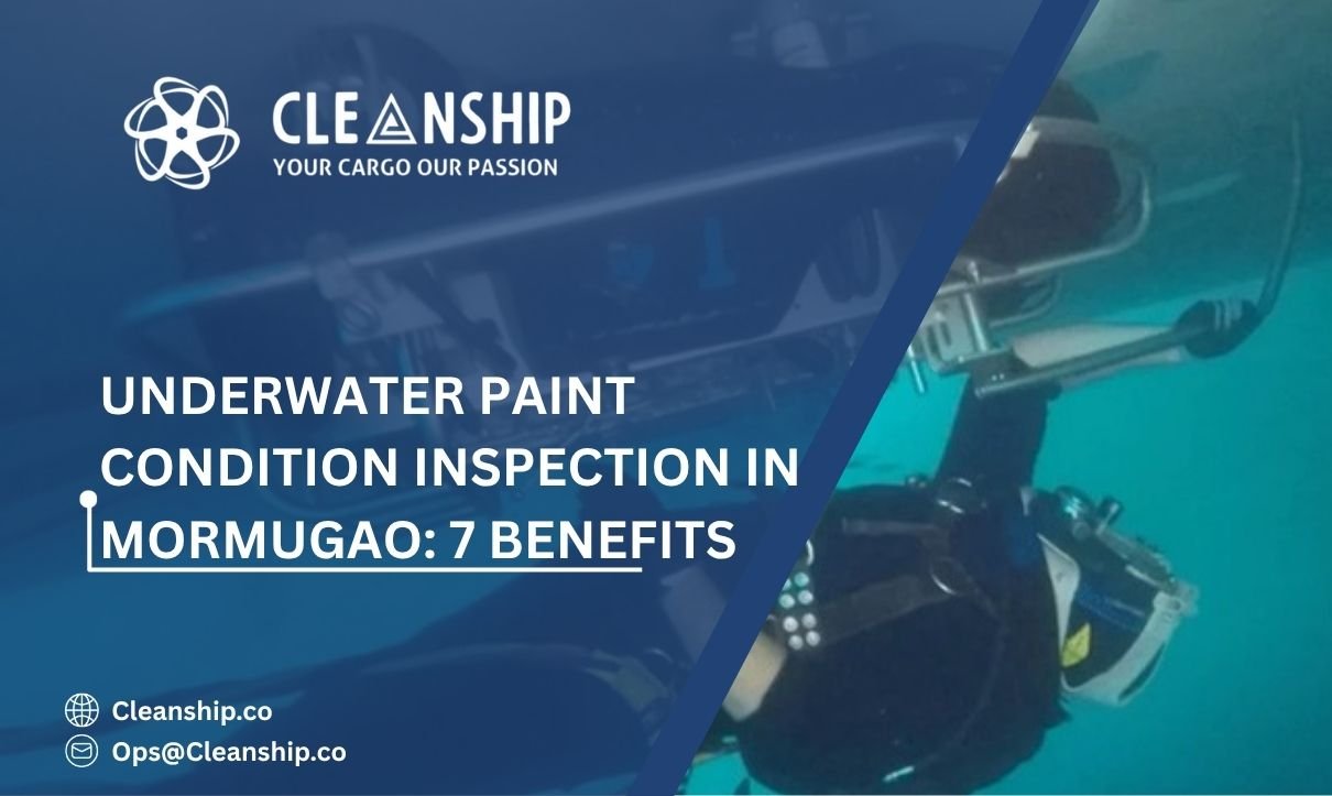 Underwater Paint Condition Inspection in Mormugao