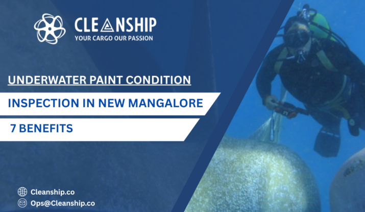 Underwater Paint Condition Inspection in New Mangalore