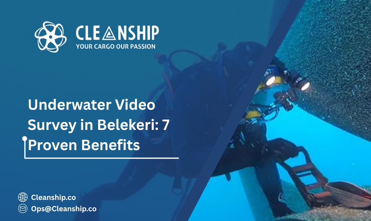 Underwater Video Survey in Belekeri